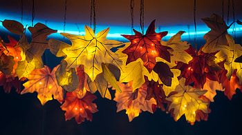 Autumn Glow: Ultra of Fall Leaves, fall leaves, autumn decor, home decor HD wallpaper