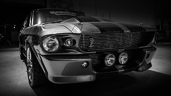 Shelby GT500, cars, monochrome, black-and-white HD wallpaper