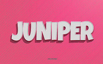 Juniper, pink lines background, with names, Juniper name, female names, Juniper greeting card, line art, with Juniper name HD wallpaper