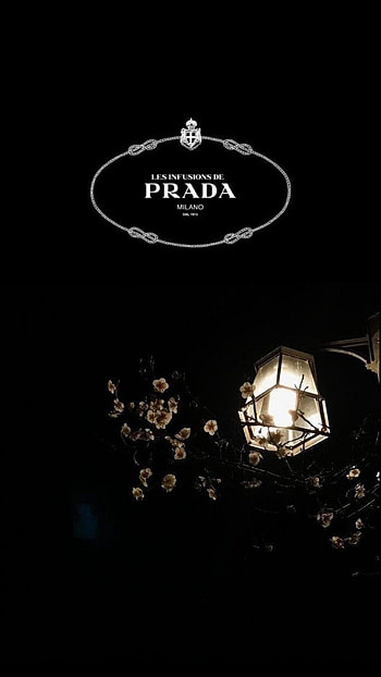Prada logo , Popular designs, Fashion brand HD phone wallpaper