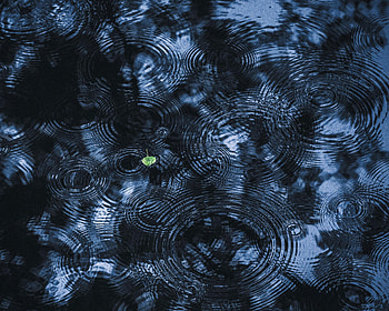 Nature, Water, Ripples, Ripple, Divorces, Sheet, Leaf HD wallpaper