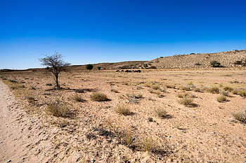 Botswana, Unsere Pfade, Adventure trails, Unique experiences HD wallpaper