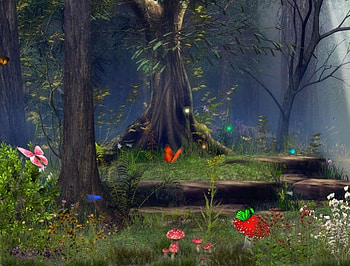 butterfly jungle, butterflies, strawberry, flowers, mushroom HD wallpaper