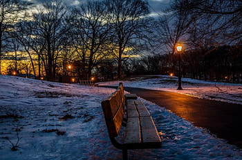 Snowy dawn quiet, landscape, trees, urban, square HD wallpaper