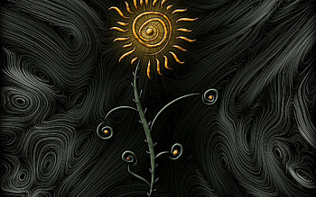 Flowers, Background HD wallpaper