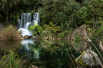 New Zealand Waterfall, trees, new zealand, waterfall, nature HD wallpaper