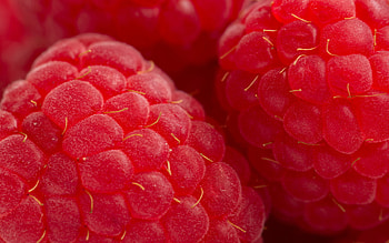 Background, Raspberry, Berries HD wallpaper
