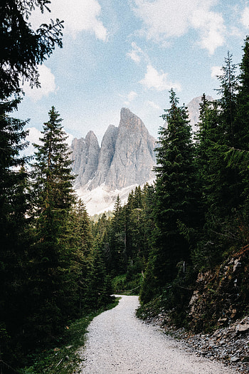 Road, tress, mountain cliffs, adorable HD phone wallpaper