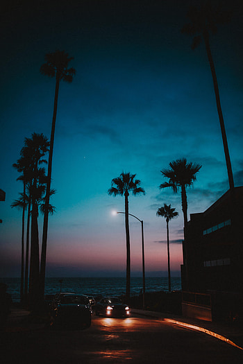 Sunset, Night, Palms, Cars, Dark, Tropics HD phone wallpaper