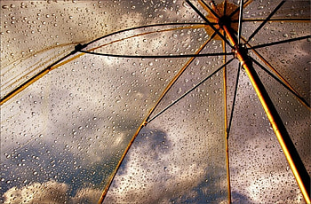 Rain, Drops, Miscellanea, Miscellaneous, Umbrella HD wallpaper