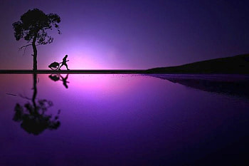 Purple Nature, purple, beautiful, nature HD wallpaper