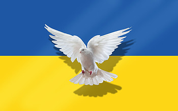 Peace for Ukraine!, peace, Ukraine, dove, flag HD wallpaper