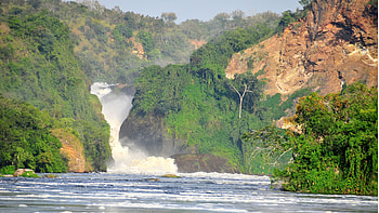 Uganda travels, Gorillas, Wildlife safari, Group and family tours HD wallpaper
