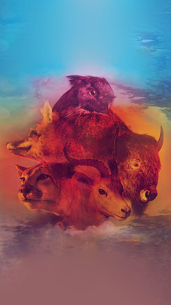 Onerepublic Essence, Indulgence, Musical Inspiration, Visual Delight HD phone wallpaper
