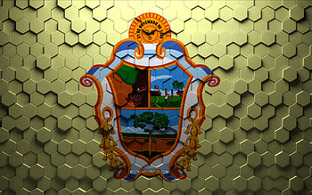 Flag of Manaus, honeycomb art, Manaus hexagons flag, Manaus 3d hexagons art, Manaus flag HD wallpaper