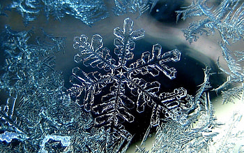 Winter, Ice, Snowflakes, Patterns, Macro, Form HD wallpaper