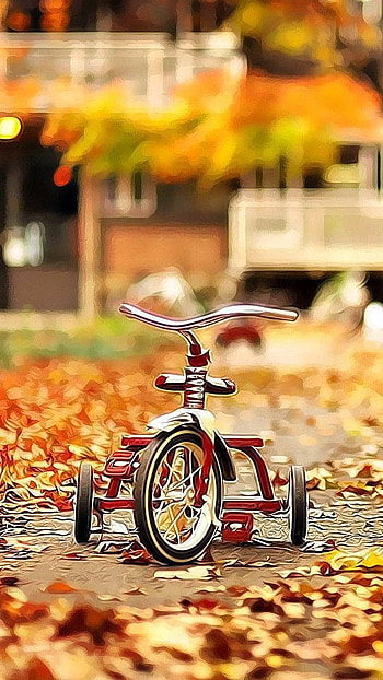 October background HD phone wallpaper