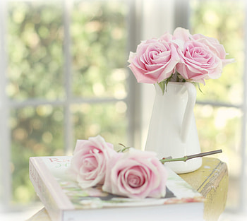 still life, bouquet, gentle, graphy, nice, rose, flower, , roses, elegantly, beautiful, jug, pink, book, cool, flowers, harmony HD wallpaper