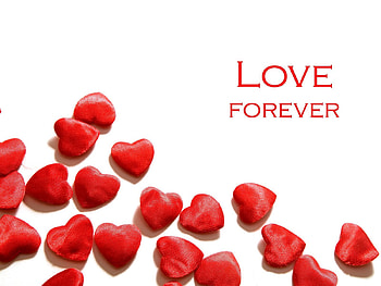 Love, Heart, Forever, Forever And Ever HD wallpaper