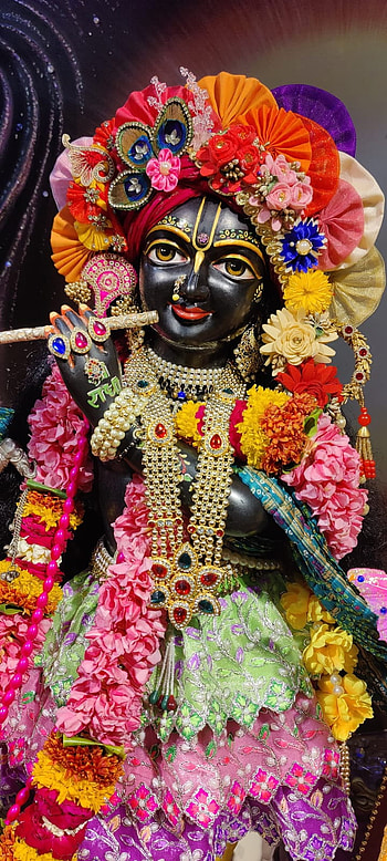 Hare krishna, lei, magenta HD phone wallpaper