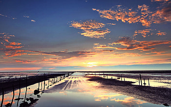 Nature, Water, Sand, Evening, Low Tide, Stakes, Pegging HD wallpaper