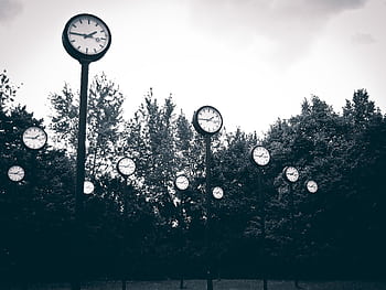 A collection of clocks set against a backdrop of trees in a park, creating a surreal scene. HD wallpaper