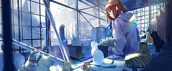 Anime Girl Cat, cats, girl, Anime, art HD wallpaper
