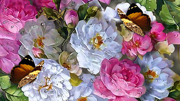 flower dream, natur, butterflies, dreams, flowers HD wallpaper