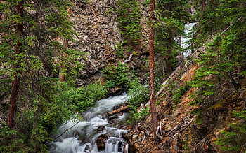 Lime Creek, Colorado, rocks, water, stones, cascades, trees, usa HD wallpaper