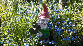 A midgets pet, Garden, Green, Fairytale, Figurine, Summer, Painted Figurine, graph, Sunny, Grass, Flowers, Flower, Beard, Blue, Snapshot, Pet, Dwarf, , Red, Painted, Summertime, little, Magic, Midget, tiny HD wallpaper
