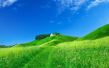 Nature, Flowers, Grass, Summer, Structure, Field, Brightly, Chapel, Meadow HD wallpaper