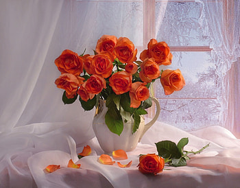 still life, flowers, abstract, graphy HD wallpaper