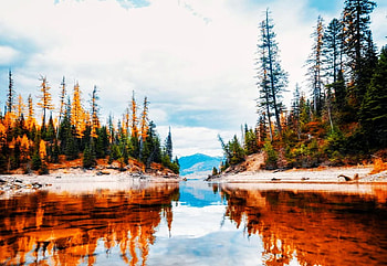 Reflections at Hungry Horse Reservoir, Montana, water, reflections, snow, trees, clouds, sky, usa HD wallpaper