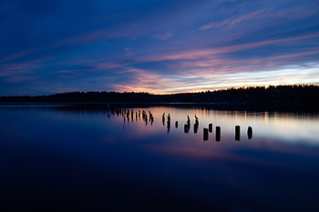 Nature, Birds, Trees, Sunset, Horizon, Lake, Silhouettes HD wallpaper