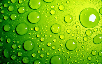 Green Background. . Green Bubbles HD wallpaper