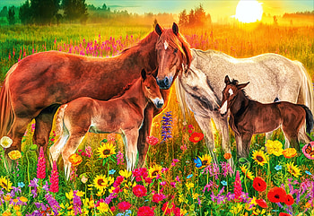 Horses on the meadow, colors, foals, flowers, blossoms, painting HD wallpaper