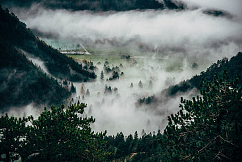 Nature, Trees, Mountains, Vertex, Top, Fog HD wallpaper