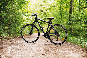 A mountain bike resting on a forest path surrounded by lush green trees in broad daylight. HD wallpaper