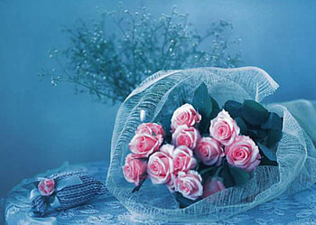 Pink roses, pink, nature, flowers, roses HD wallpaper