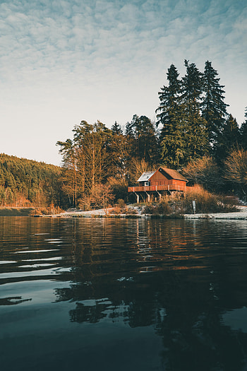 Nature, Water, Trees, Forest, House HD phone wallpaper