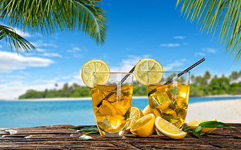 Tropical oasis indulgence, Summer vibes, Palm tree bliss, Lemonade by the sea HD wallpaper
