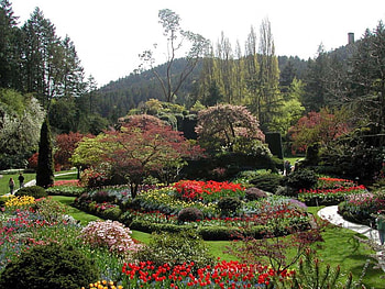 Garden, flowers HD wallpaper