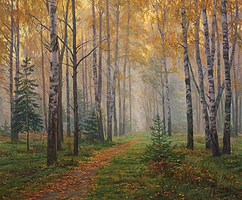 FOREST IN THE MIST, golden, woods, weather, forests, mist, leaves, pine, trees, autumn HD wallpaper