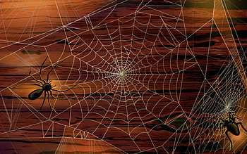 Cobweb and Spiders, night, wooden wall, spider web, spiders HD wallpaper
