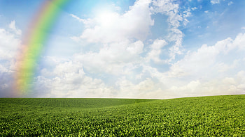 Meadows, Rainbow Colors HD wallpaper