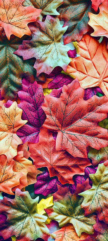 Leaves , Natural beauty, , background HD phone wallpaper