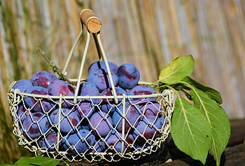 Fruits, Food, Plum, Basket HD wallpaper