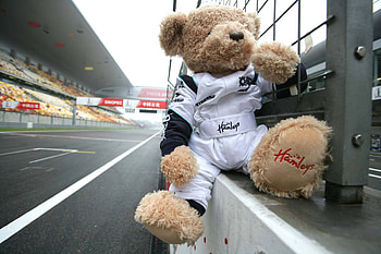 Miscellanea, Miscellaneous, Bear, Toy, Street, Costume, Soft HD wallpaper