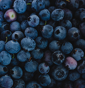 Fresh, blueberries, dark-blue, fruit HD phone wallpaper