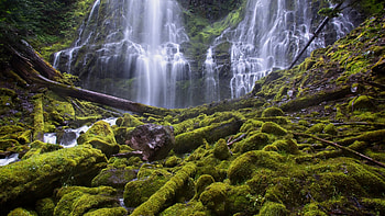 Proxy Falls, Oregon, rocks, river, cascades, trees, usa, stones HD wallpaper